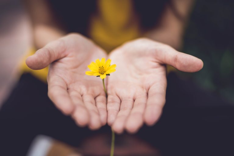 Une main ouverte avec une fleur jaune. Action caritative Un Don Sans Fin. Association suisse romande.